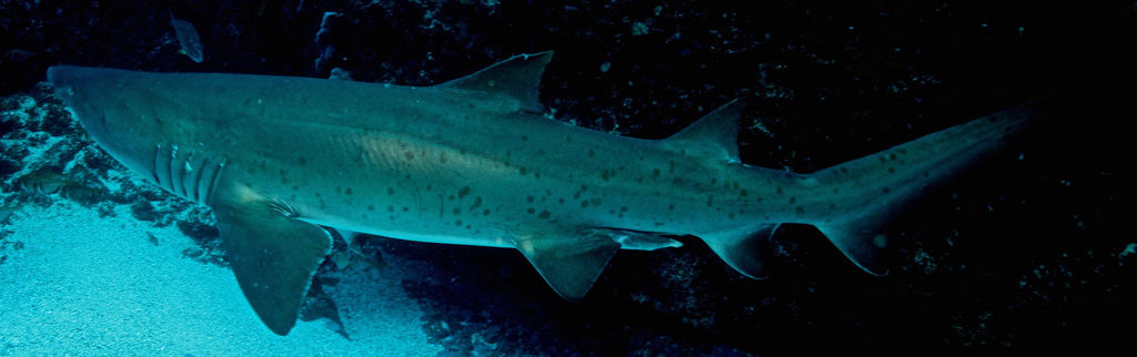 bc8d3d75-7841-46f4-b852-4f4fd0986b3c