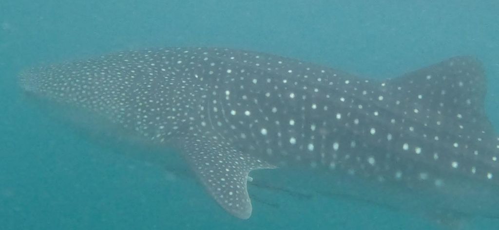 6bb35f61-b24e-4b6d-9b2e-94a9e6c22c82