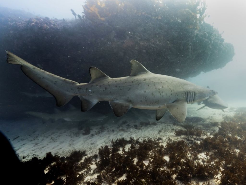 9dca47ef-036b-45b3-88bd-30682dc6fab4