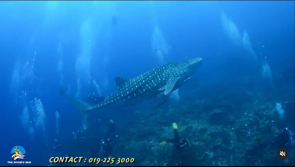 65f5ff36-e512-4aaf-ac12-e37aa33c8863