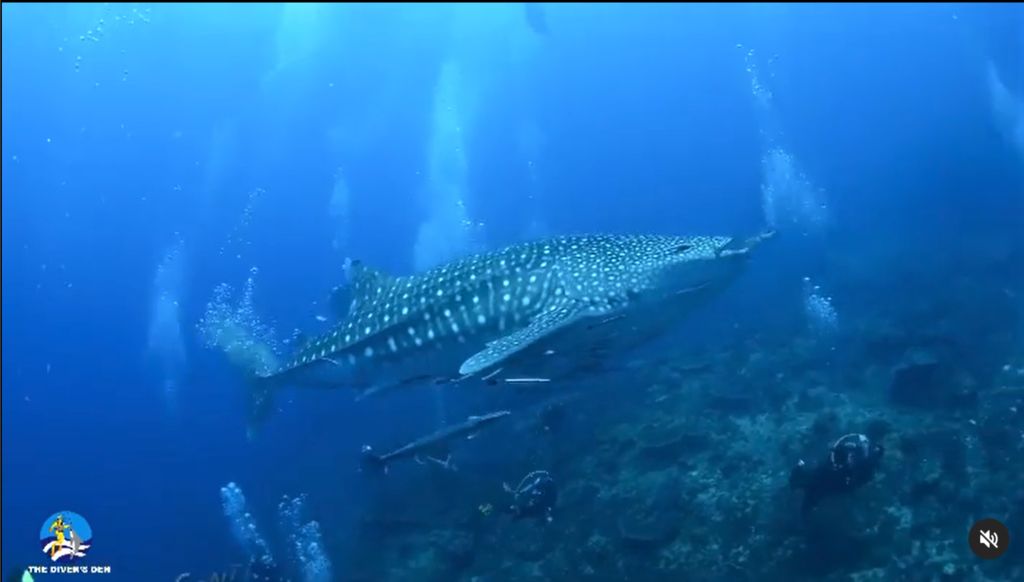 65f5ff36-e512-4aaf-ac12-e37aa33c8863