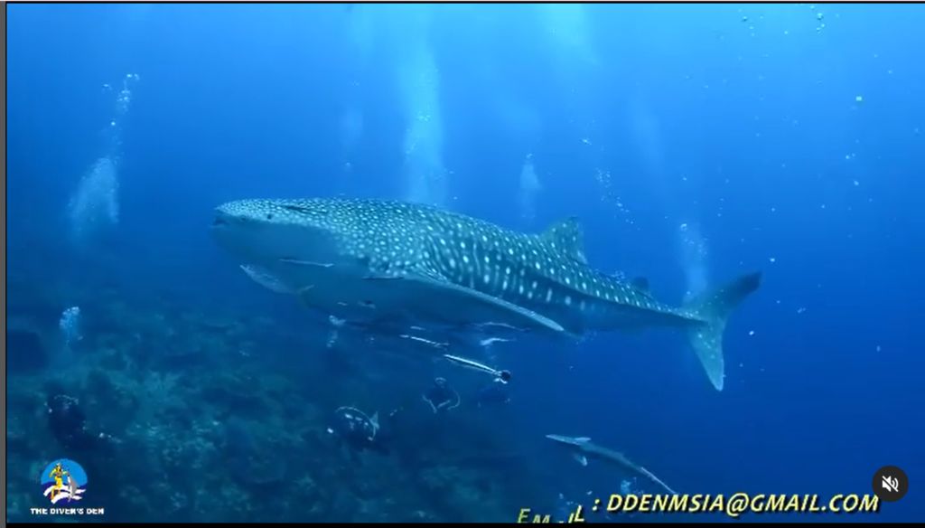 65f5ff36-e512-4aaf-ac12-e37aa33c8863