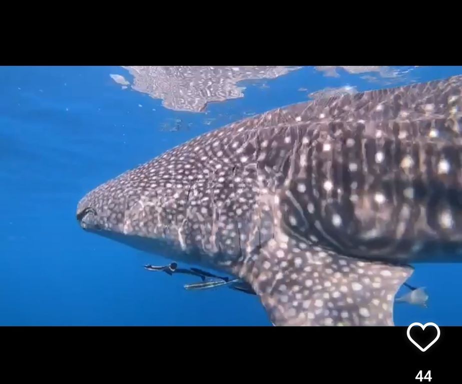 351c0f4c-2fe2-4398-ba5e-26add9f78aee