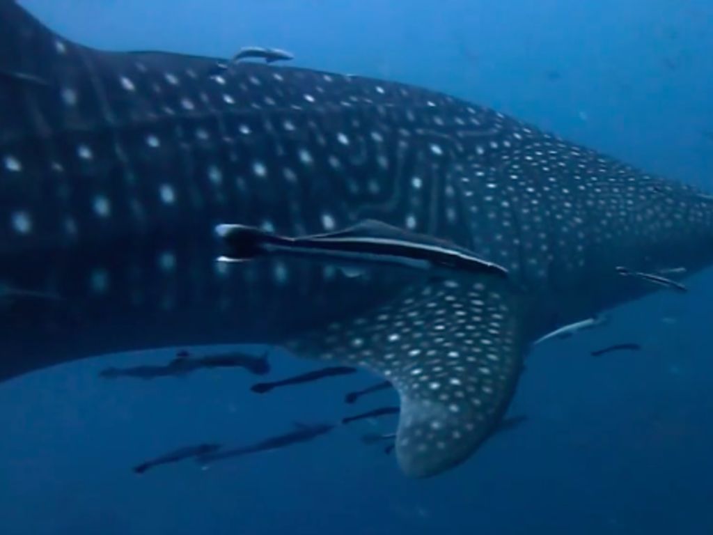 6007ce69-114c-414b-b02e-b85b87aa1b8b