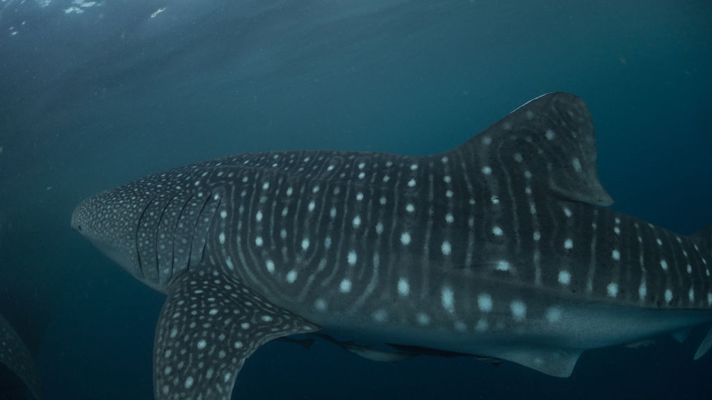 d49998b7-f479-4b2a-a396-f6b83e2fecd7