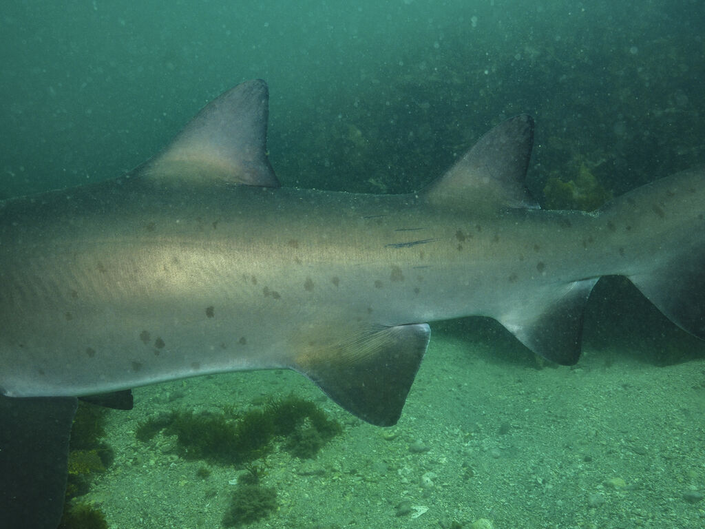 8443fb4b-92df-4af5-8553-412cc01dad7e