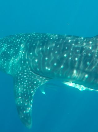 d6679044-9f92-4b76-a010-d3b7d2736e58