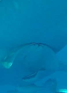 d6679044-9f92-4b76-a010-d3b7d2736e58