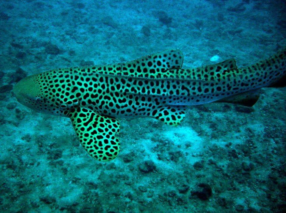 2ed9c9c6-a280-4b18-90bd-1d7667d0e59a