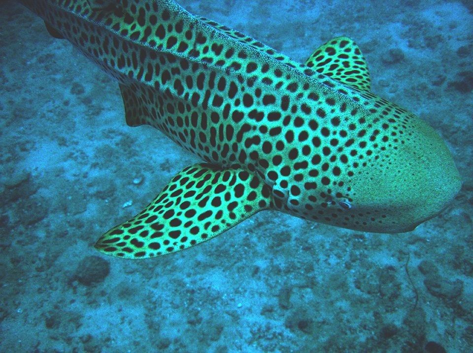 2ed9c9c6-a280-4b18-90bd-1d7667d0e59a