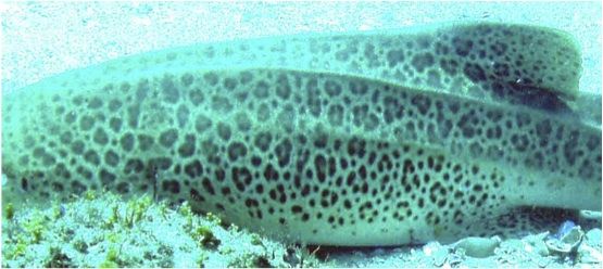 127834c3-5135-4ef0-b743-83840c69b8cc