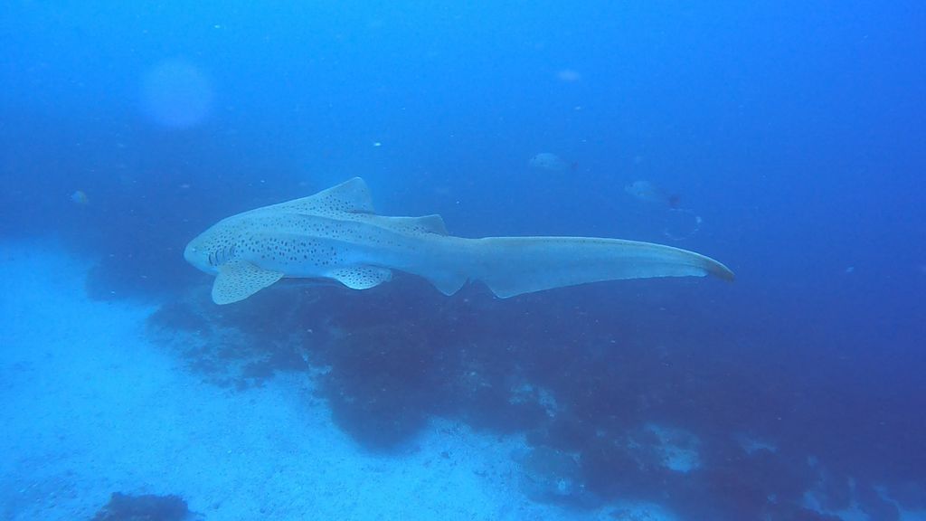 0d1bdc40-0636-42d7-9083-7dbee081271f