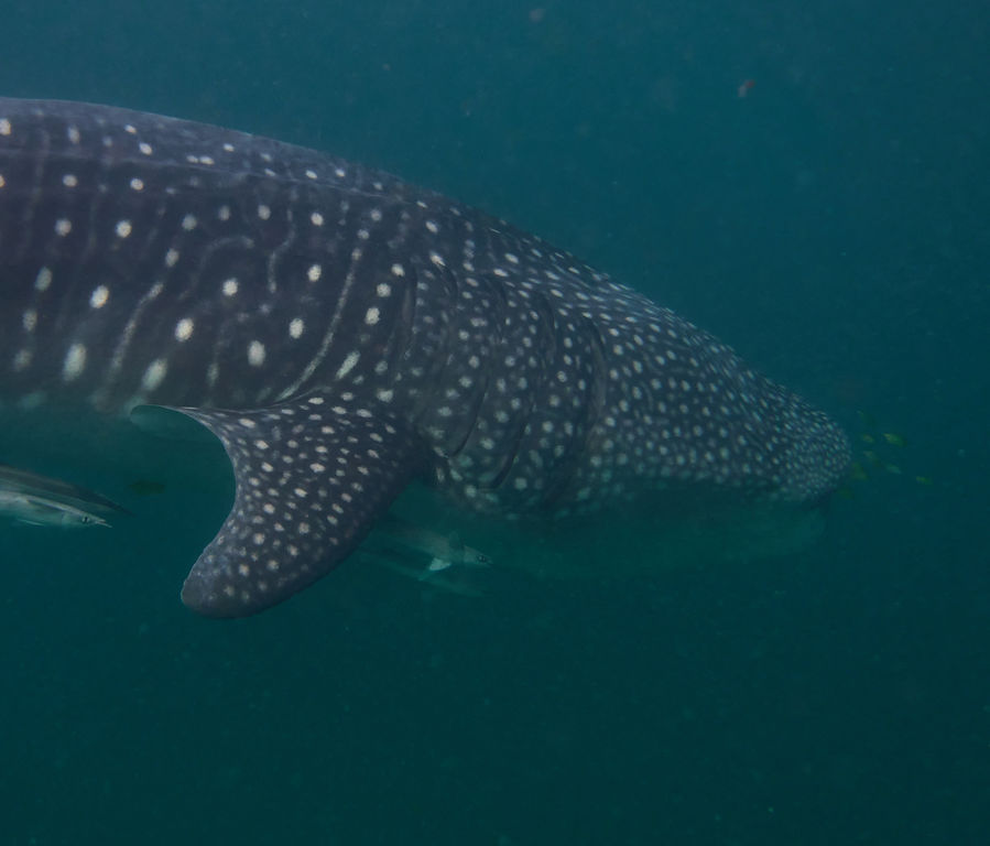 03b0cf96-88e5-4c3a-ac56-eb27343a48ea