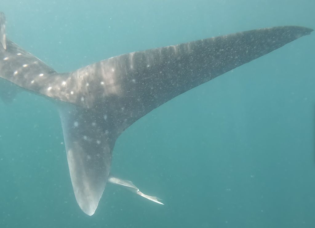 ac76fe0e-52d6-4311-adad-774a90e17809