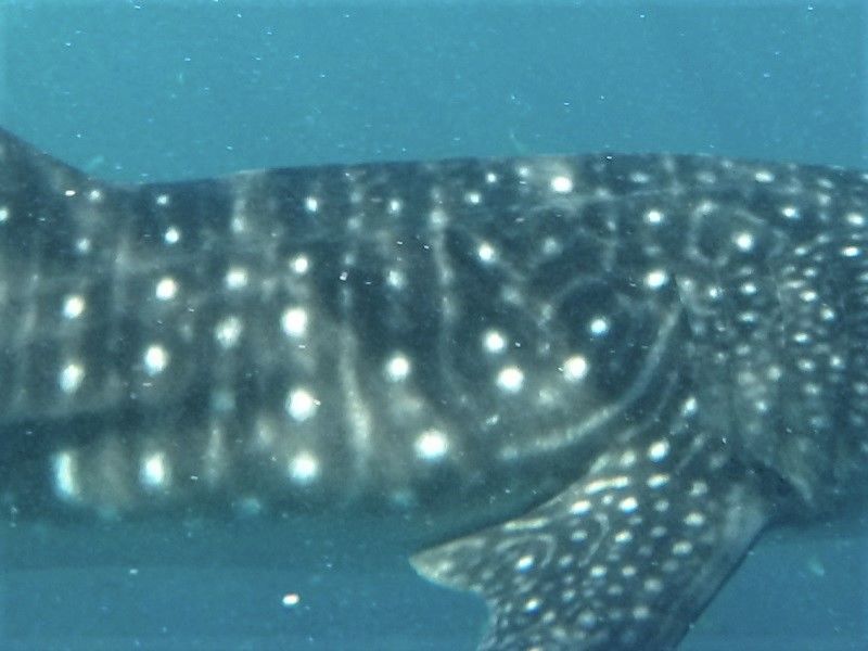 53d96a15-09db-4e71-b379-5a333d32bc95