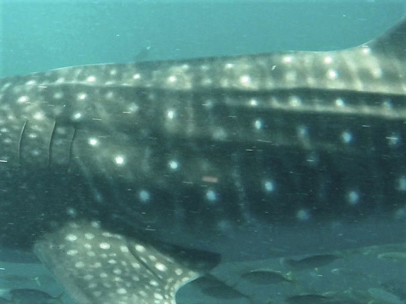 53d96a15-09db-4e71-b379-5a333d32bc95