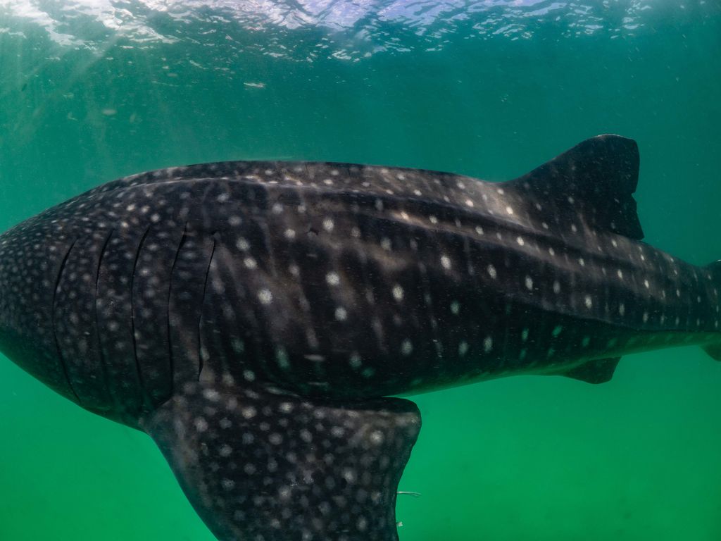 441f748b-e189-4840-b0b8-de5452b745e9