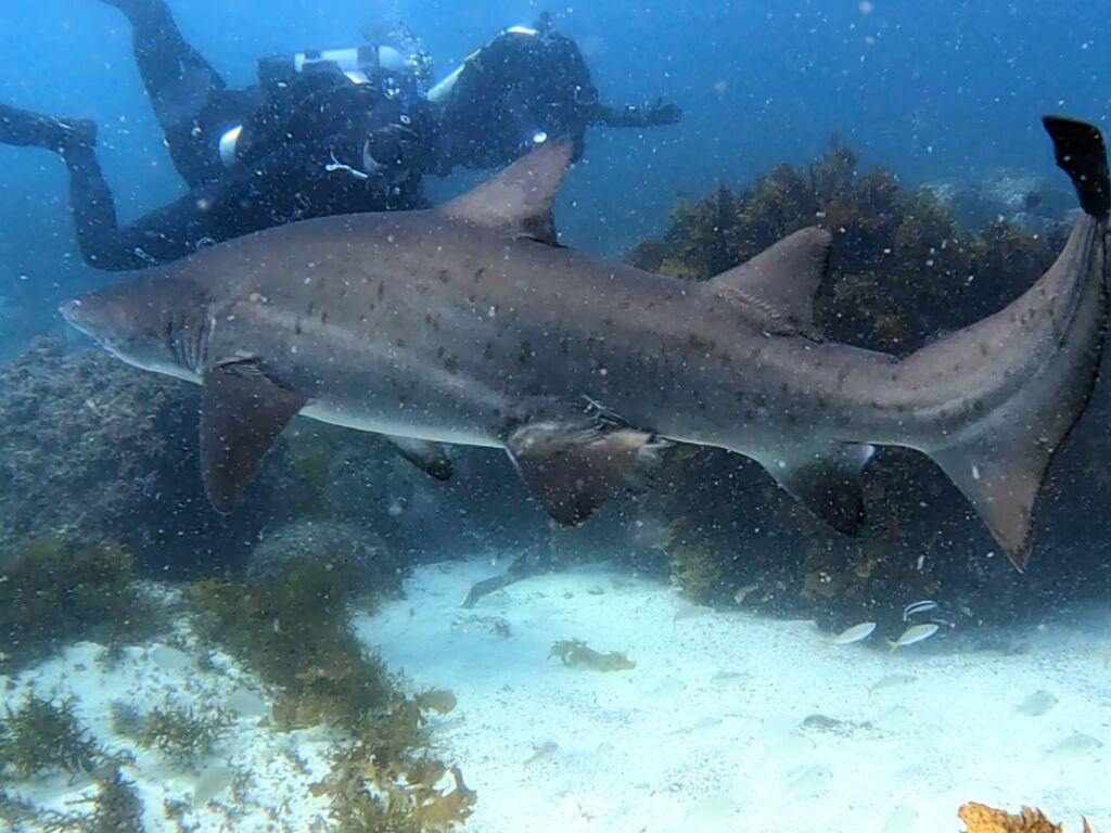 cfb212bc-689b-4915-bbc8-9bd9c252316f