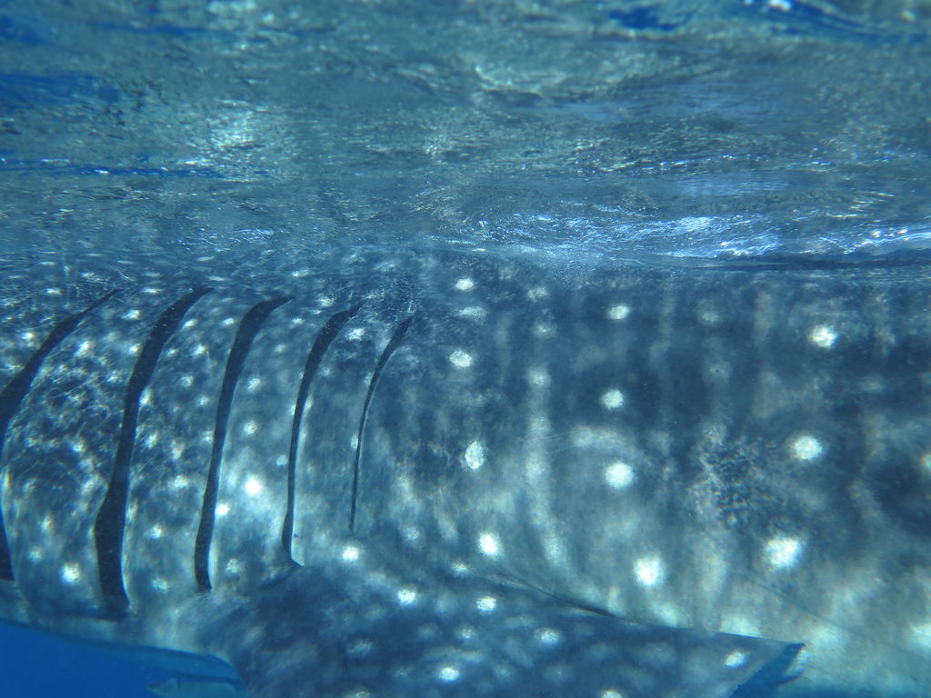 7af86fc5-e75f-4be1-aa10-77972c3ee7dd