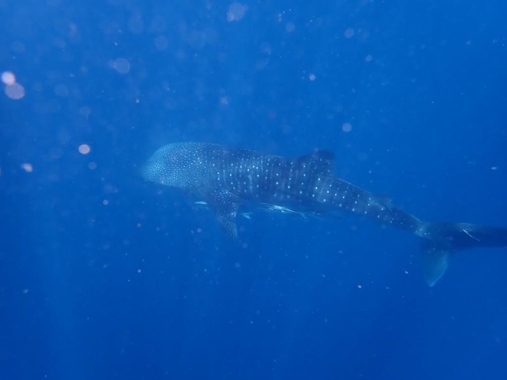 e4f7f505-4d00-4b0b-9ade-1555659086bd