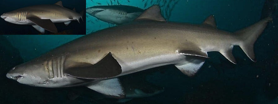 63205406-2151-4c08-9629-ba2507f53f3f