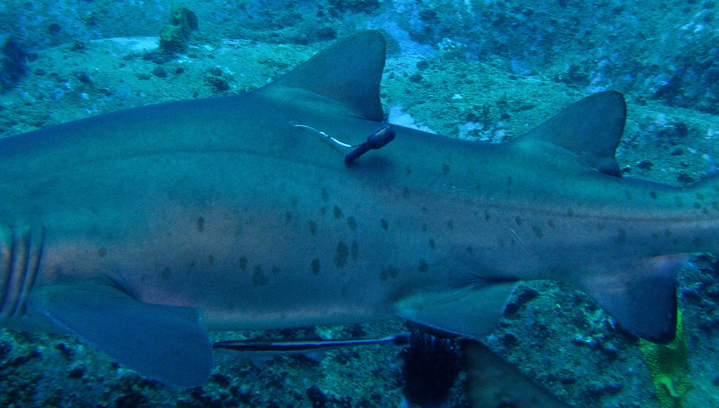 8bf1df1c-2c14-476d-9bac-c8cf08ad18f7