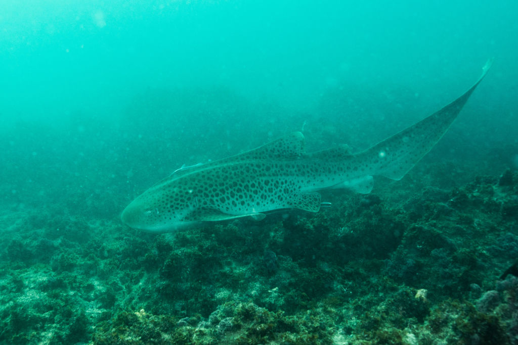 9779591a-3305-42a3-a038-8320758d8b99