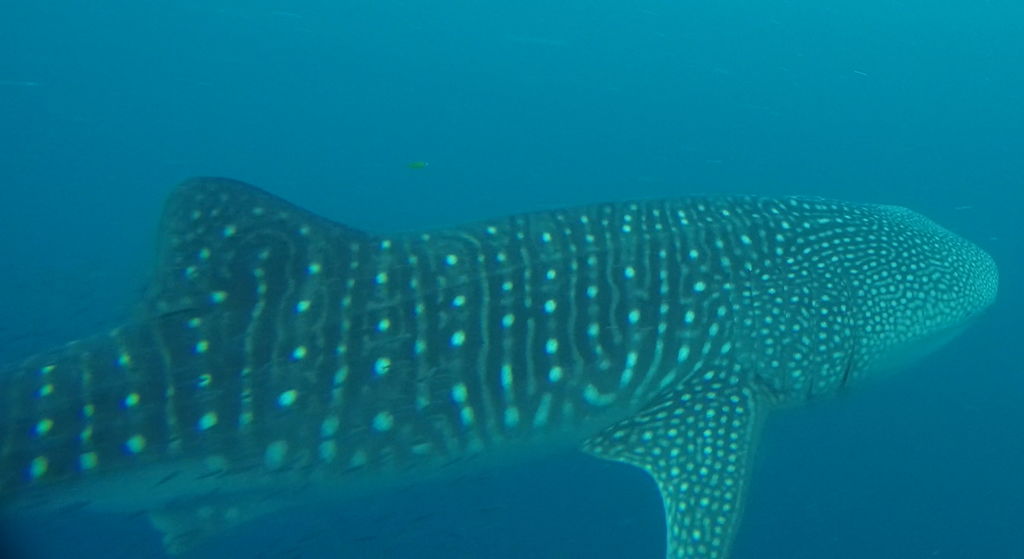 b20f2a3c-0b98-40bf-a322-83e8d690db2a