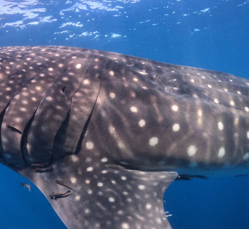 cd8299a2-b991-45e9-b762-9c4633c9fc10