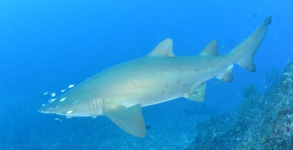 23f22487-4791-4dd0-8946-2062cd22846c