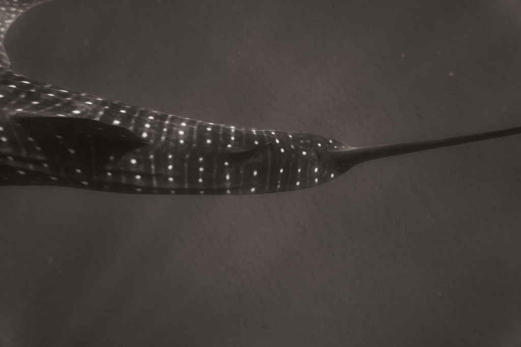 b81ac926-c45c-40fe-8195-92da5bd8a7fb