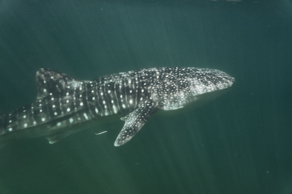 b81ac926-c45c-40fe-8195-92da5bd8a7fb