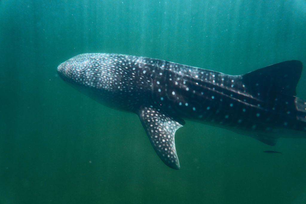 b81ac926-c45c-40fe-8195-92da5bd8a7fb