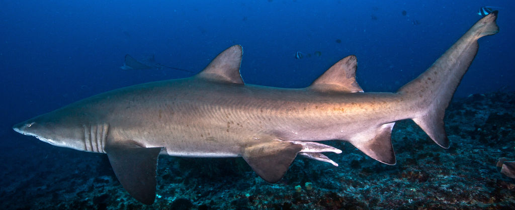 cecde9d4-6c6b-433f-9f8d-090fdf5f9548