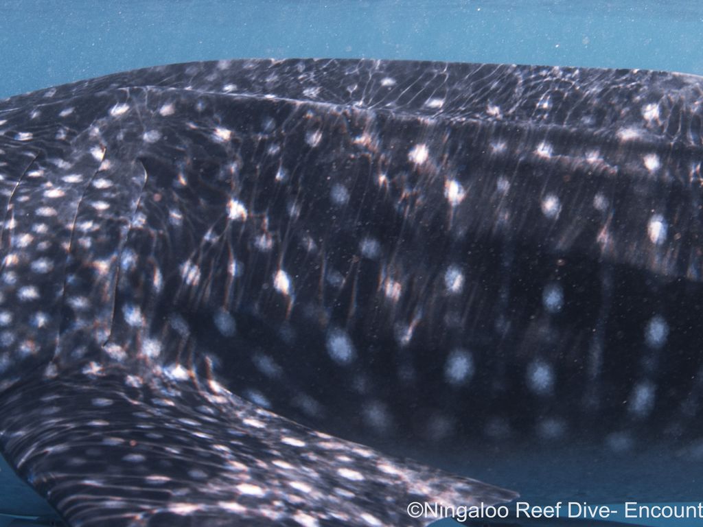 8362d69f-2fff-4f54-a365-4b2818ea16e0