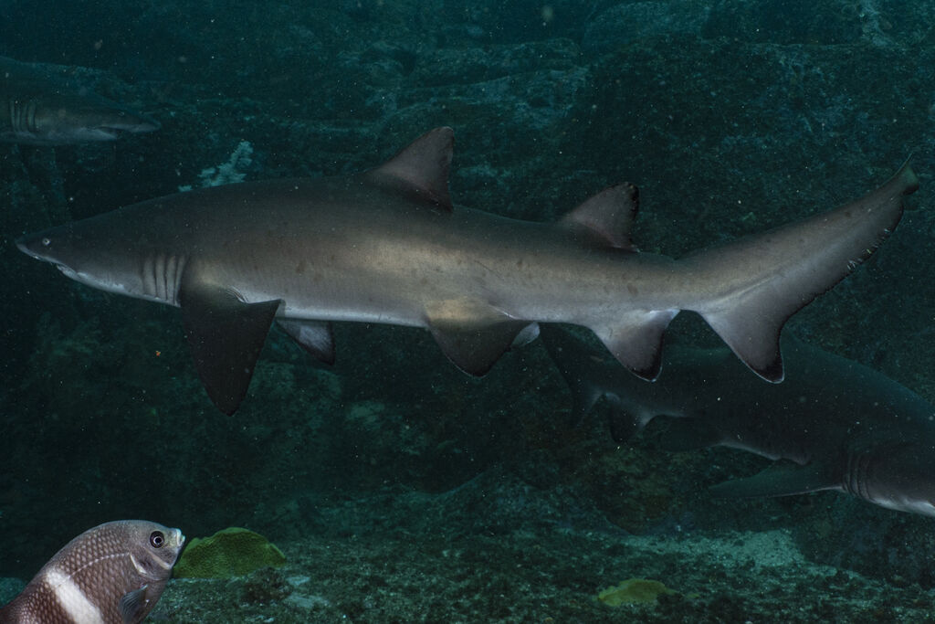 ecf99a2f-9c67-4111-9832-96d93cc7e6f3