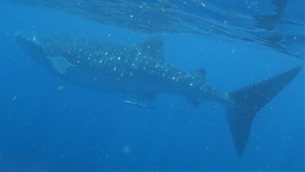 83f12851-5e22-45d5-a8fc-b6e3afc9686f