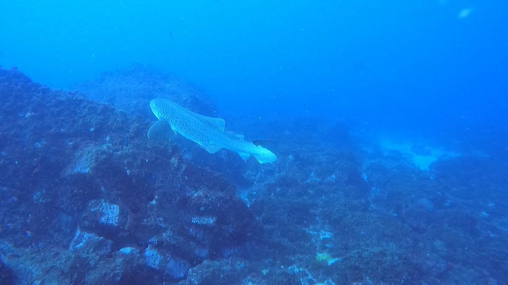 cdff9224-9655-46f4-9a37-3a9837e0a919