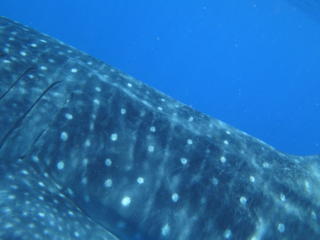 5749948c-ffc6-4117-a58f-4aaf32b5d02f