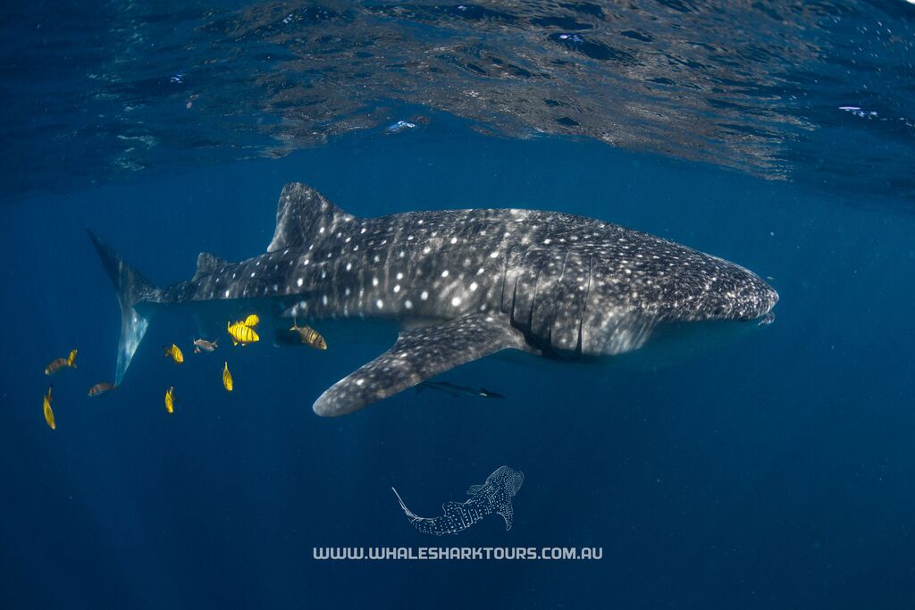 e122c9be-9a72-43c0-8bf9-f27d0e06cba2