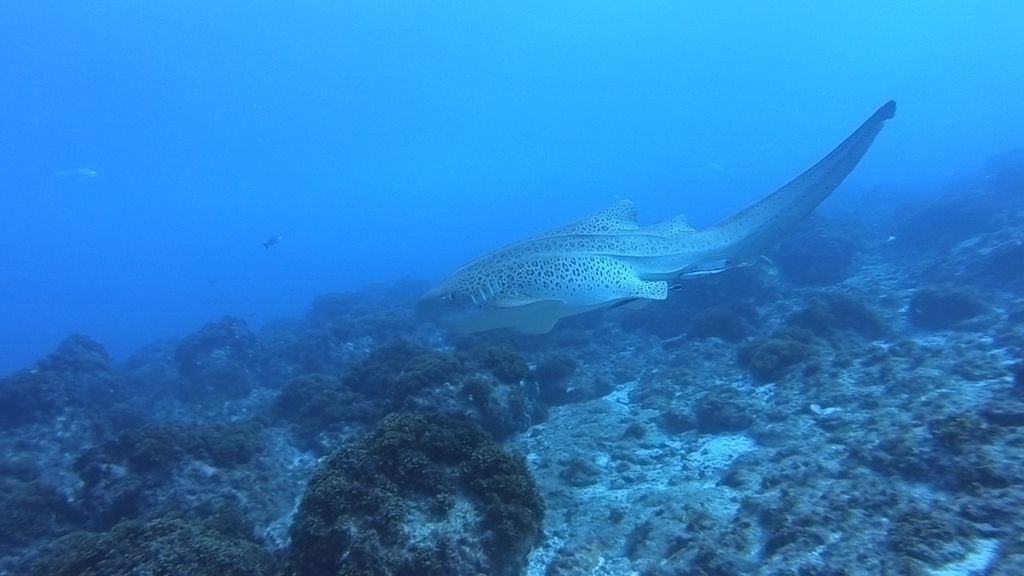 26d5be9a-1dc7-4d89-bb5e-0cb38a025eb8