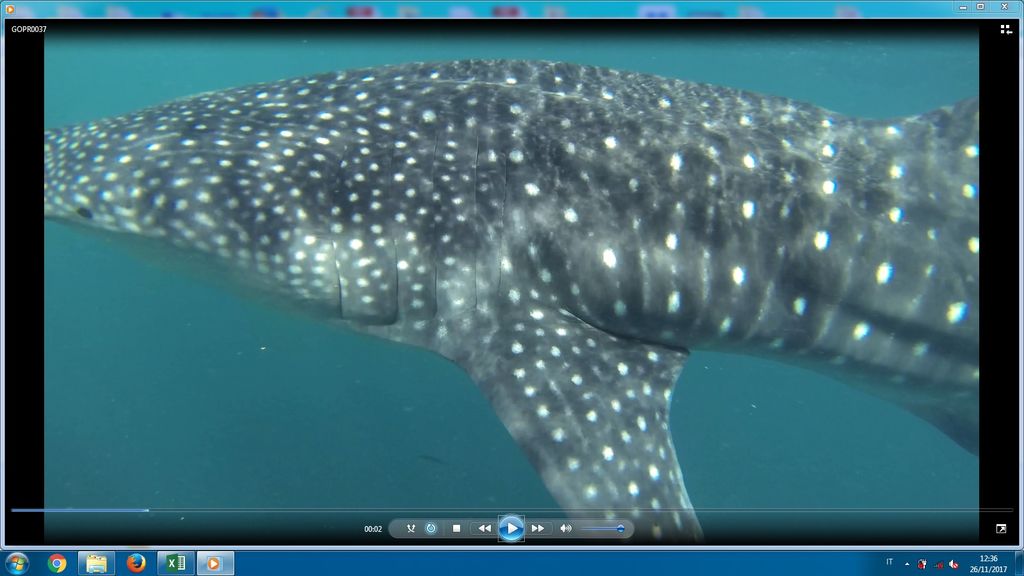 a8ec368c-df33-4235-8210-ce00780a634b