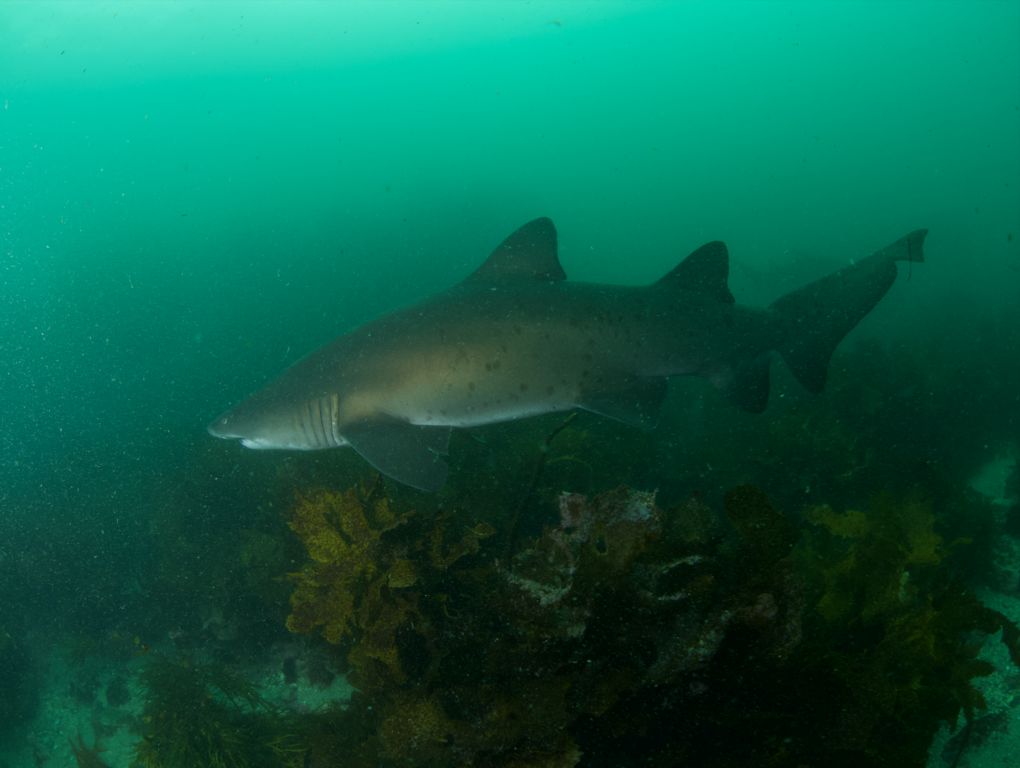 b1299b1c-9b0e-4a8f-9931-b3862854625d