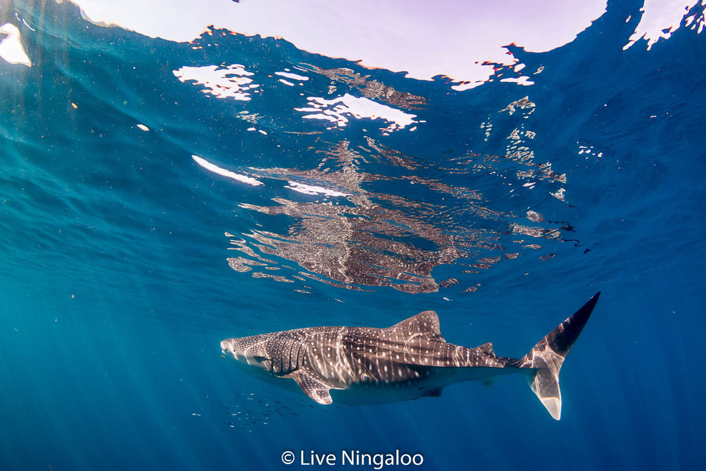 77a8bbd8-4066-4cc5-a312-aad693f59e07