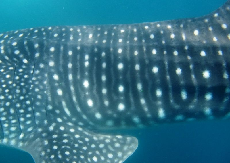 4ff16873-11bf-4c07-90d6-4a30cc3715ec