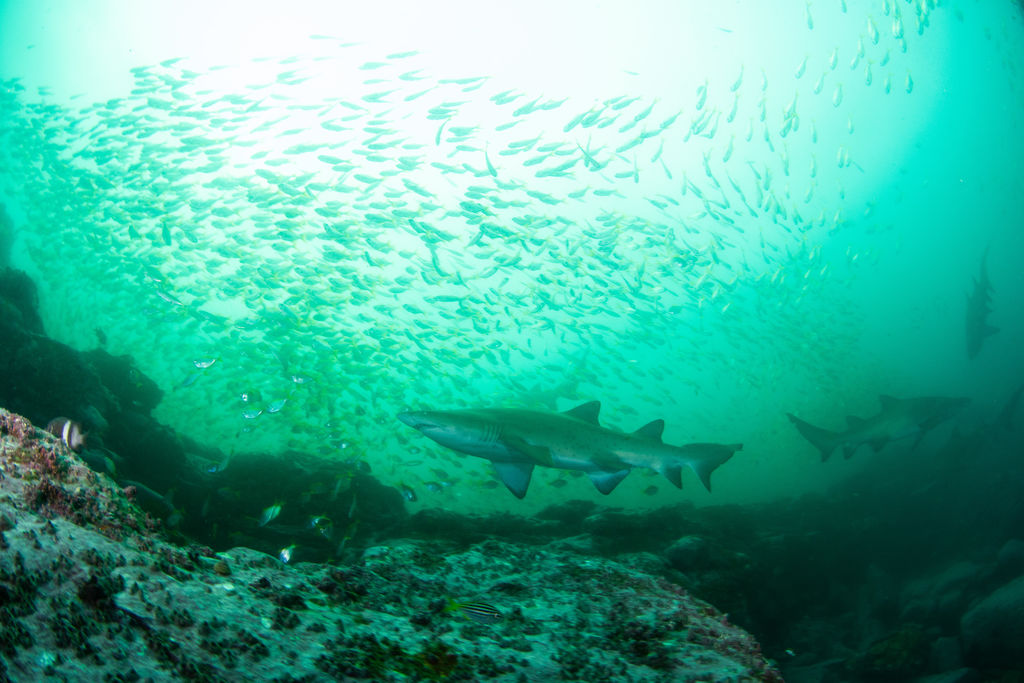 55afbf86-9d8b-4087-a319-b668ba060baa