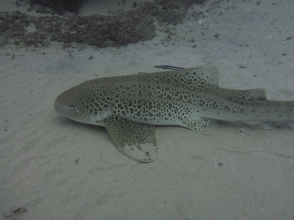 283222d9-8eb8-4927-af79-271a2b99c27a