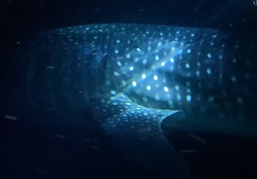 d30fd165-0bbf-40b1-8778-eddcc6cd7b2e