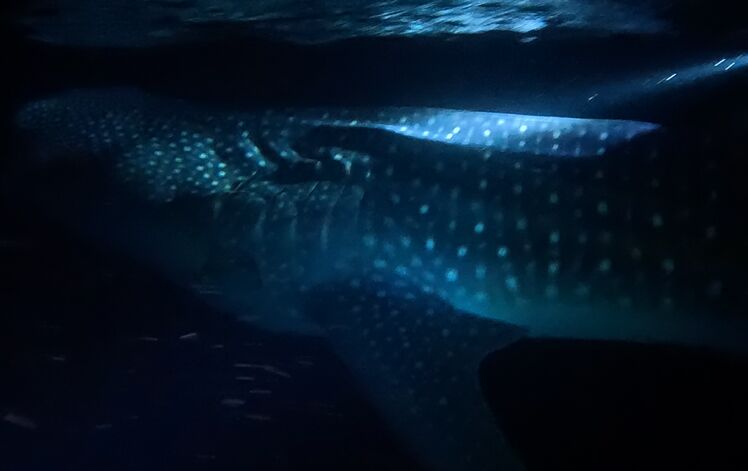 d30fd165-0bbf-40b1-8778-eddcc6cd7b2e