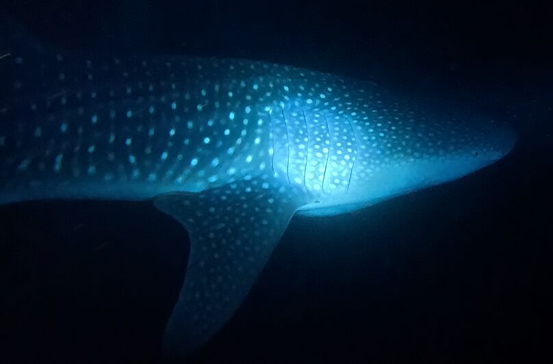 d30fd165-0bbf-40b1-8778-eddcc6cd7b2e